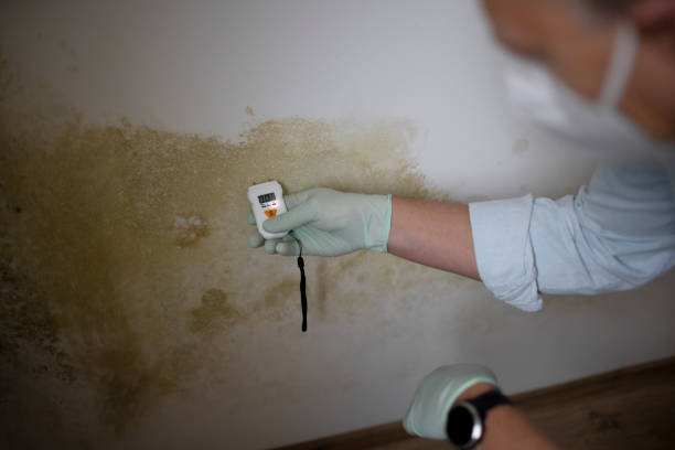 Water Damage Restoration in Vienna, IL