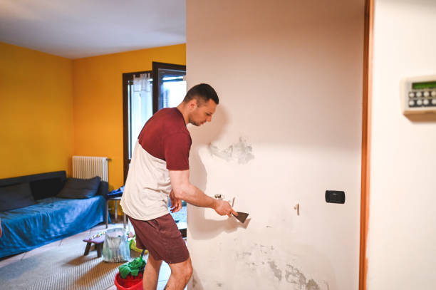 Best Mold Removal Company Near Me  in Vienna, IL
